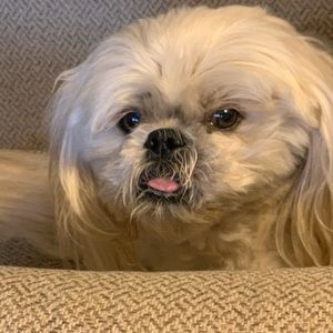 Meet your Posher, Denise